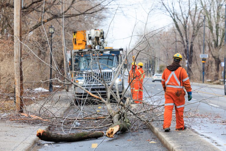 Ice storm over southern Quebec |  A colossal task for Hydro-Québec