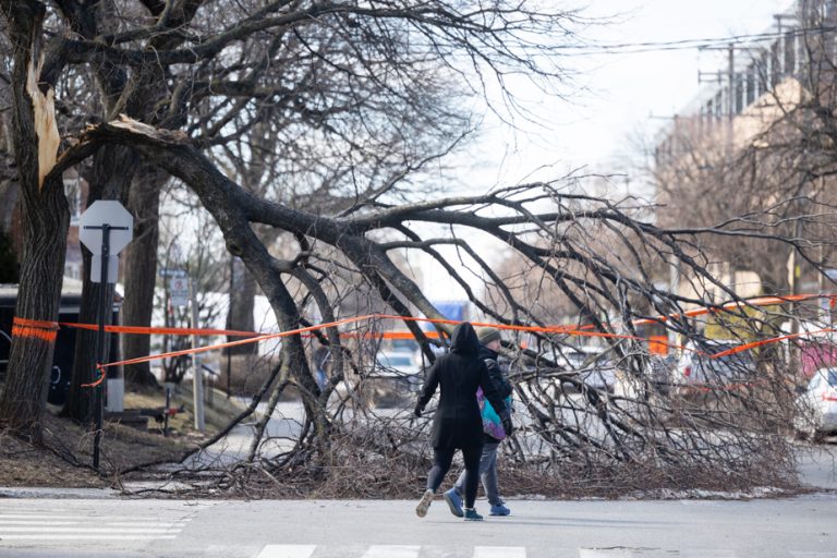 Rain and ice in Quebec |  Hundreds of thousands of customers still without electricity