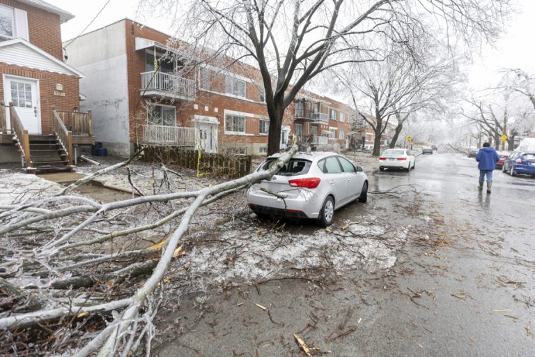 Ice storm over southern Quebec |  What does insurance reimburse?