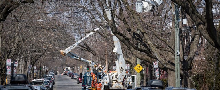 Ice storm: seven days without electricity for more than 12,000 households