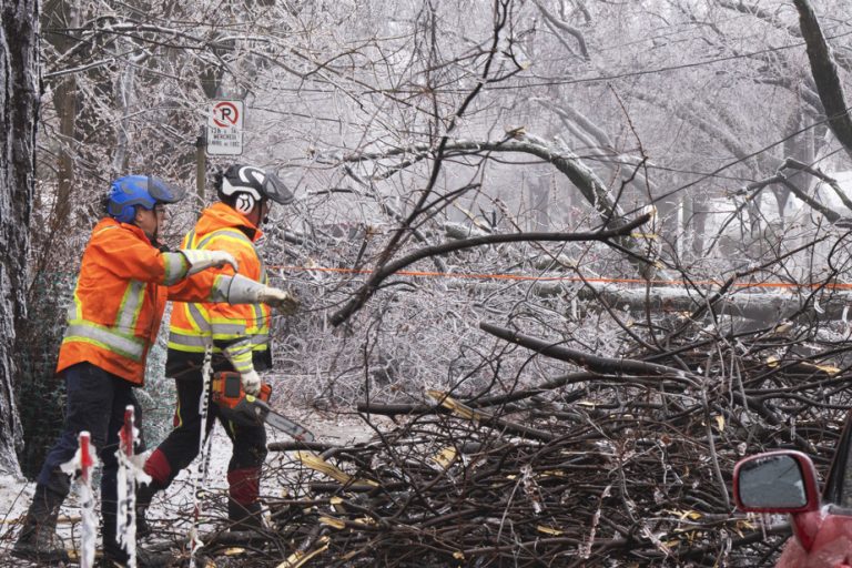 Ice storms and power outages |  “Critical infrastructures are not affected”, assures Montreal