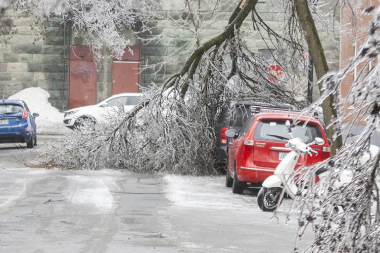 Ice storms and power outages |  Six emergency shelters open in Montreal