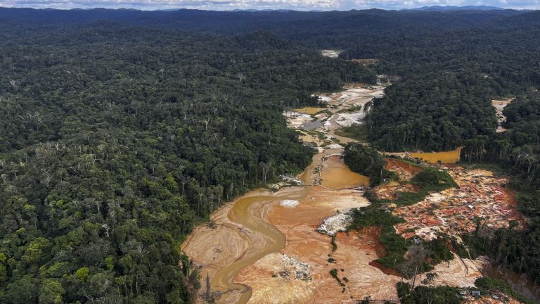 In Brazil, Greenpeace accuses Hyundai of being complicit in illegal gold panning in the Amazon