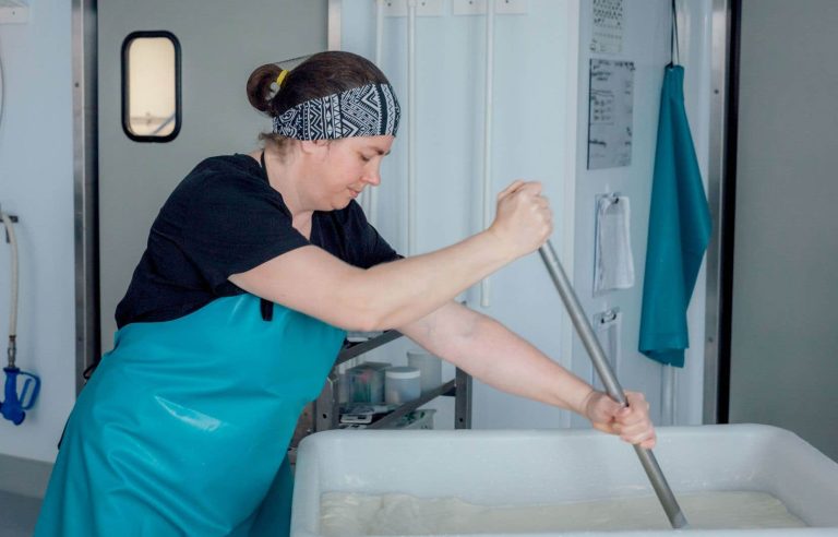 In pictures |  Cheesemaking in the eyes of Valérian Mazataud