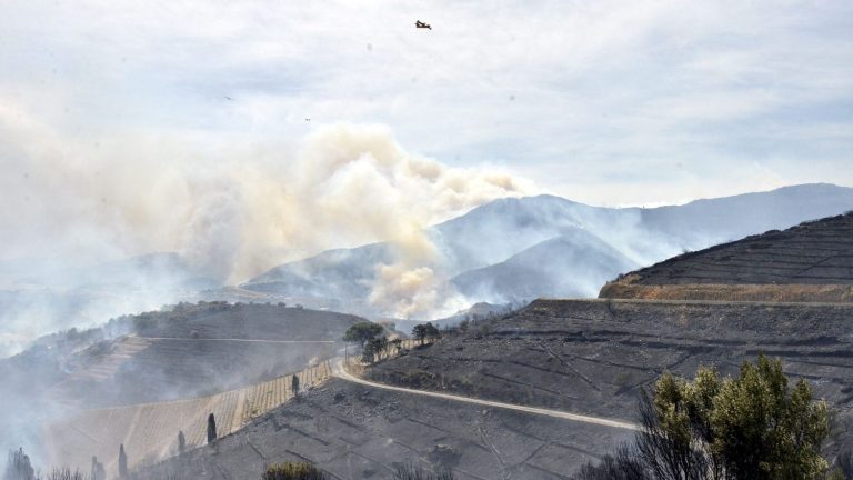 “It was an apocalyptic day”, testifies the mayor of Cerbère