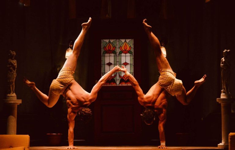 “La nuit du Cerf”: circus with a 7th art flavor