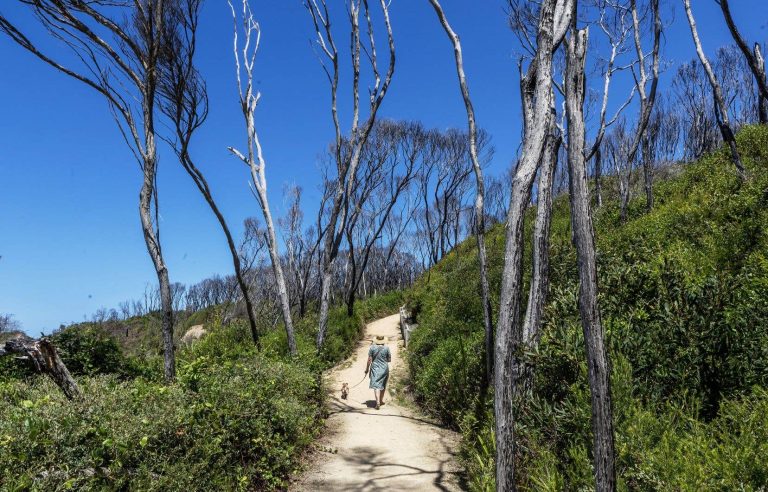 [Le Devoir en Australie] The aftermath of a burning Australia