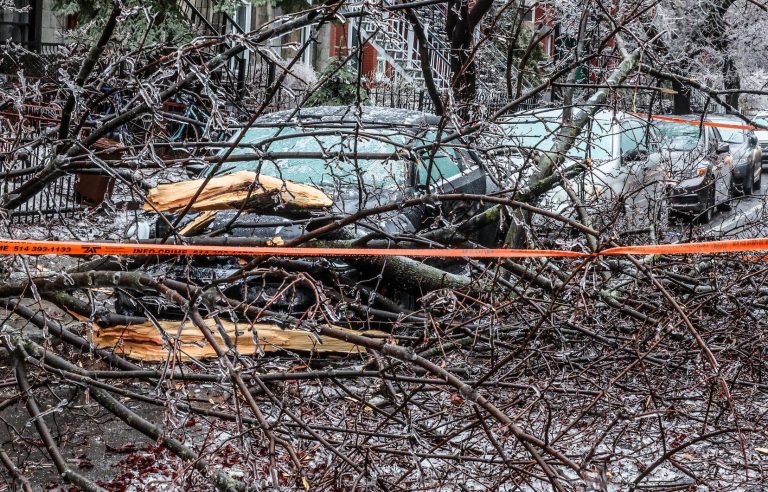 Live Blog |  The latest news on ice storms and power outages in Quebec