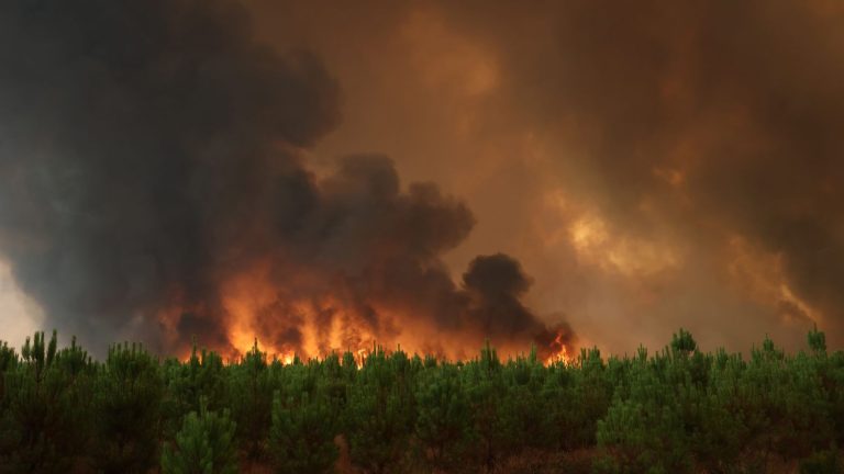 Météo France unveils its “forest weather forecast”, a new fire prevention tool