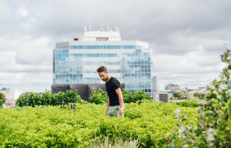 Montreal, hub of sustainable gastronomy