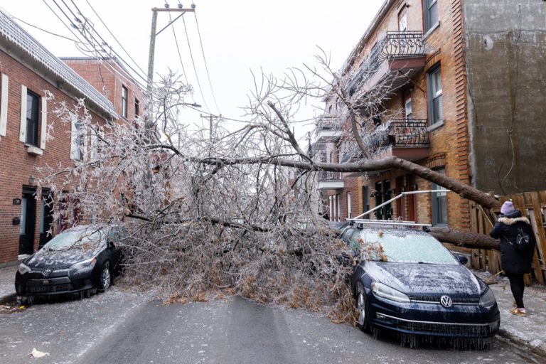 Rain and ice in Quebec |  More than 921,000 customers without electricity