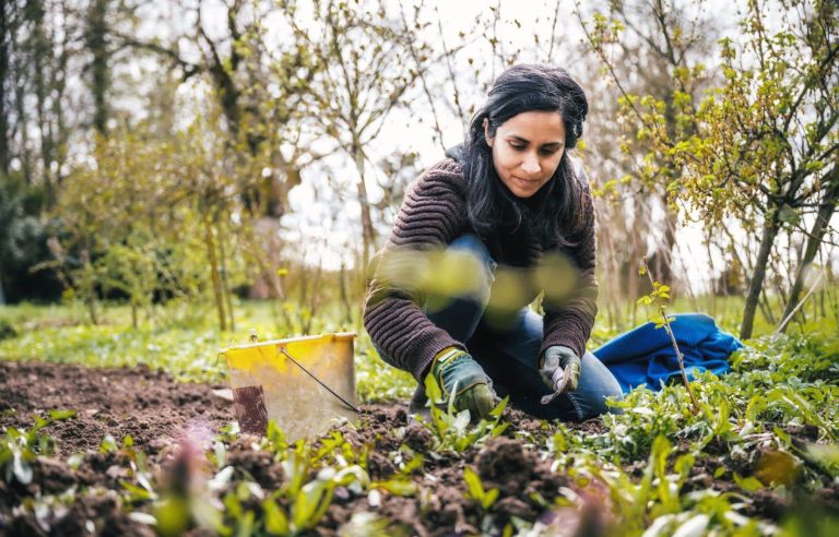 Ready for the big garden cleaning?