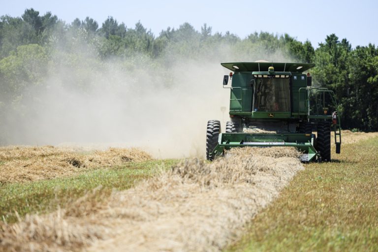 Replica |  Ensuring the food future of Quebecers