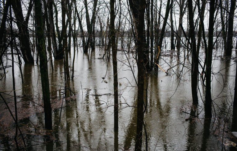 Several waterways under surveillance in Quebec