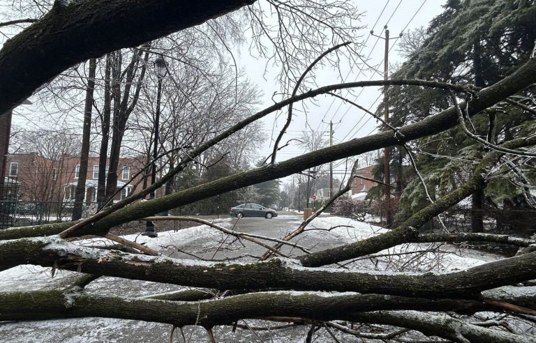 Sparks, shivers and broken branches in Longueuil because of the ice storm