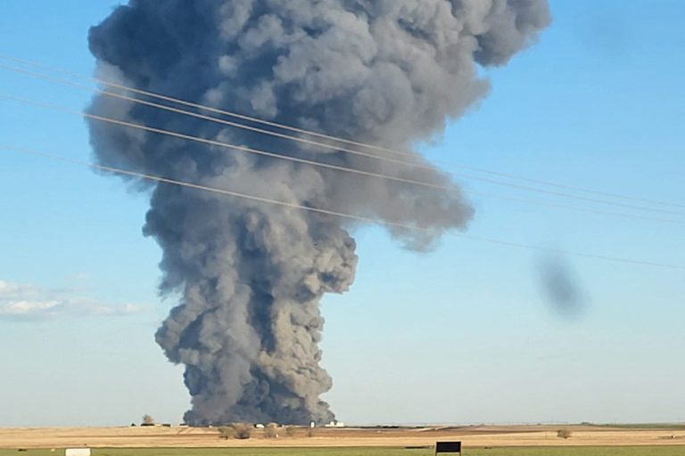 Texas |  18,000 cows killed in farm explosion