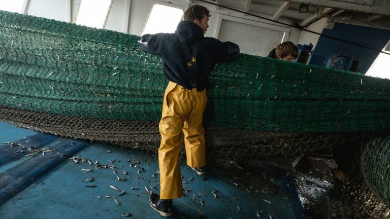 The European Union “will not impose” a ban on bottom fishing in marine protected areas