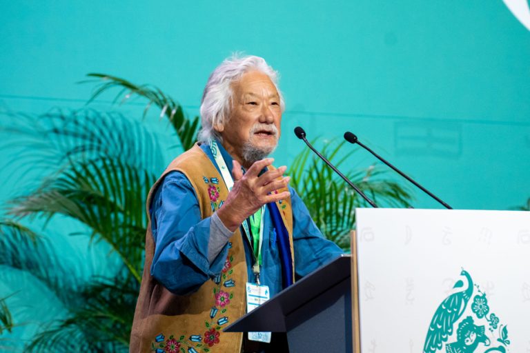 The Nature of Things |  David Suzuki regrets not being more vocal