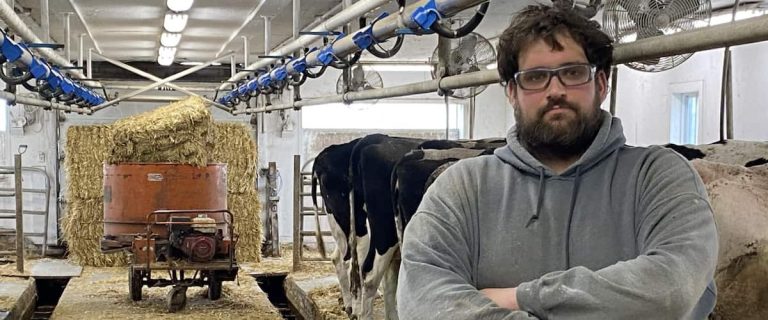 “There are farms that will close”: half of Quebec farmers caught by the throat by inflation