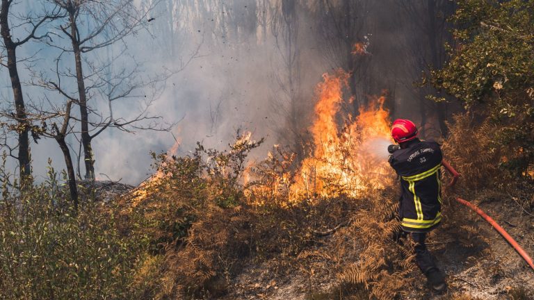 “This reinforcement of resources was necessary, but it will not be sufficient”, according to a specialist in forest fires