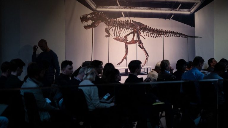 Trinity the T-Rex, auctioned to a cultural foundation, will soon be exhibited in Belgium