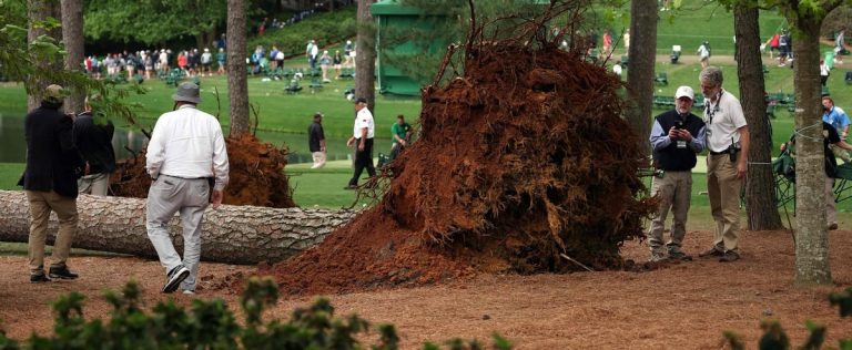 [VIDÉO] Terrifying scene at the Masters: three huge trees collapse near the spectators