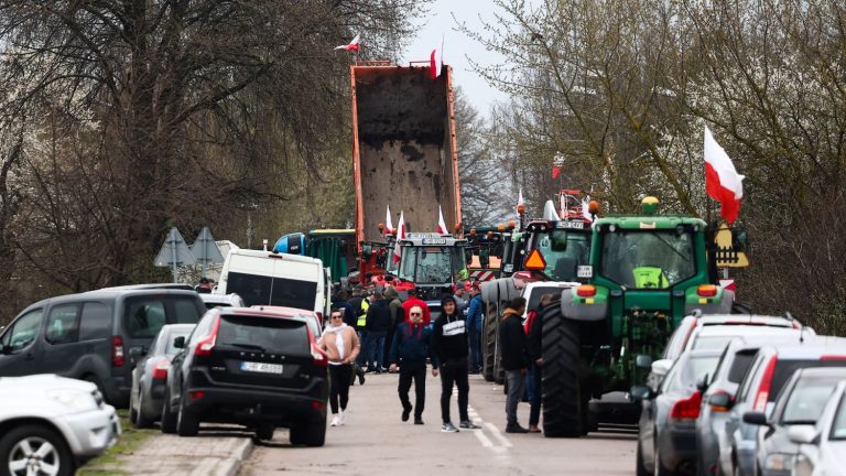 Why some European countries have decided to ban Ukrainian grain imports