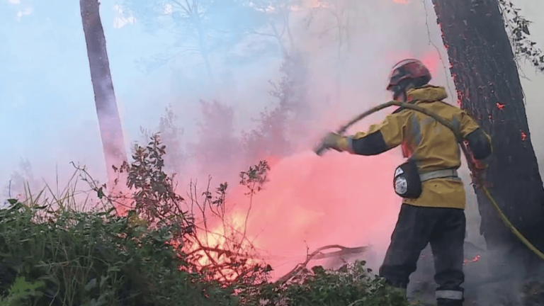 a fire ravages 10 hectares and forces the evacuation of 54 people