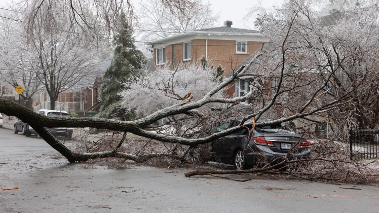 an ice storm leaves three dead and significant material damage in the east of the country