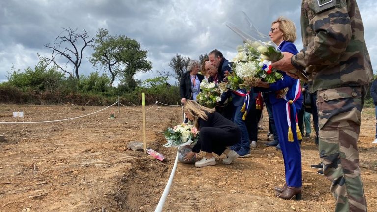 in the Gard, the amazement of the families of harkis after the discovery of a forgotten children’s cemetery