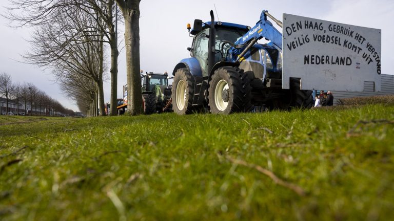 in the Netherlands, farmers contest the “nitrogen plan”