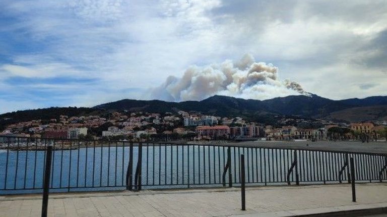 more than 650 hectares of vegetation covered by a fire between Cerbère and Banyuls, neighborhoods evacuated