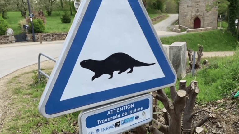 road signs to protect animals