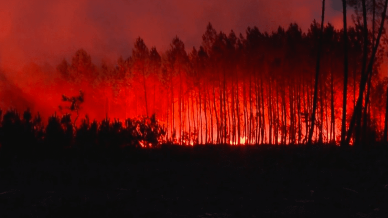 technology at the service of firefighters