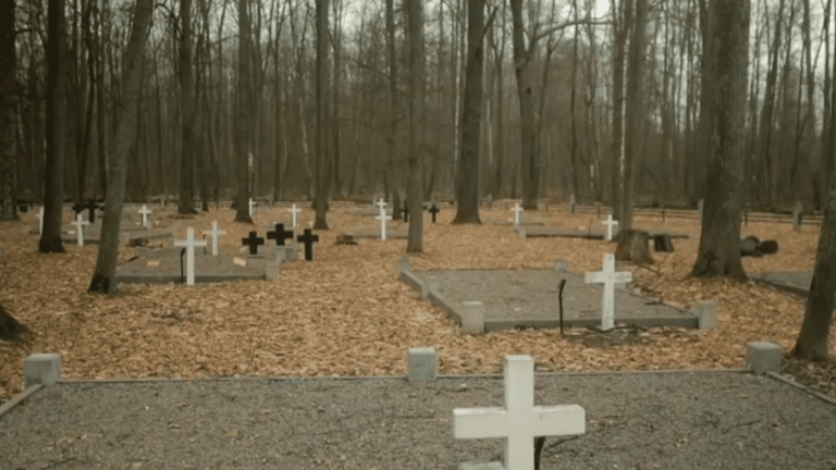 the “Malgré-Nous” cemetery deserted by the French since the beginning of the war