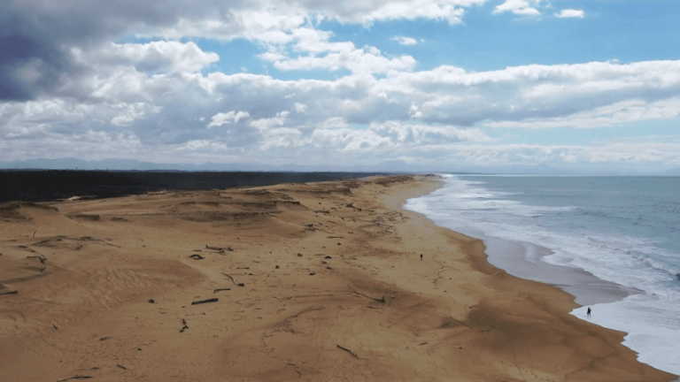 the dunes of Capbreton, a wild and fragile coast