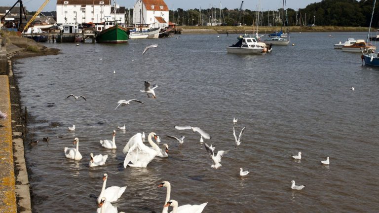 the fight of two retirees to stop the pollution of a river