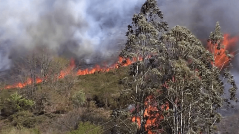 the north of the country plagued by hundreds of fires