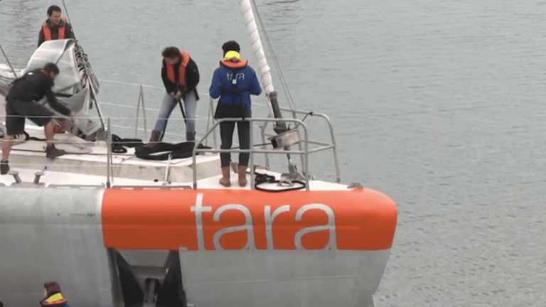 the schooner Tara embarks on a new mission