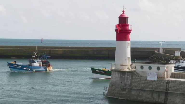 the worrying drop in fishing activity in the port of Guilvinec