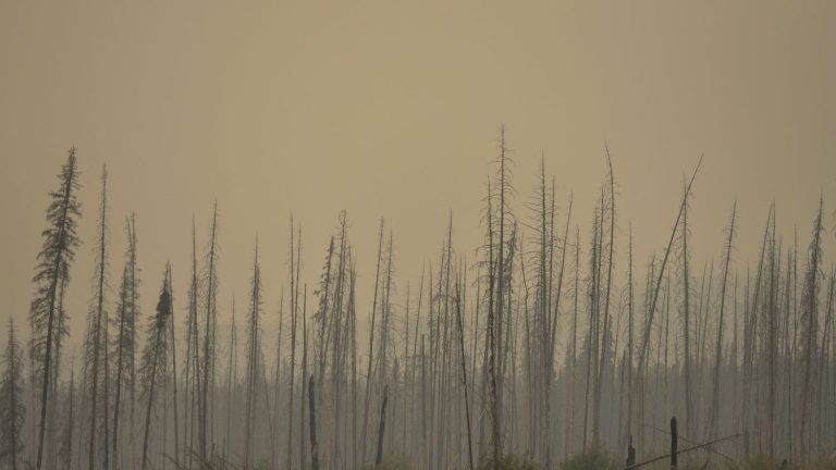 25,000 people evacuated, state of emergency triggered in Alberta