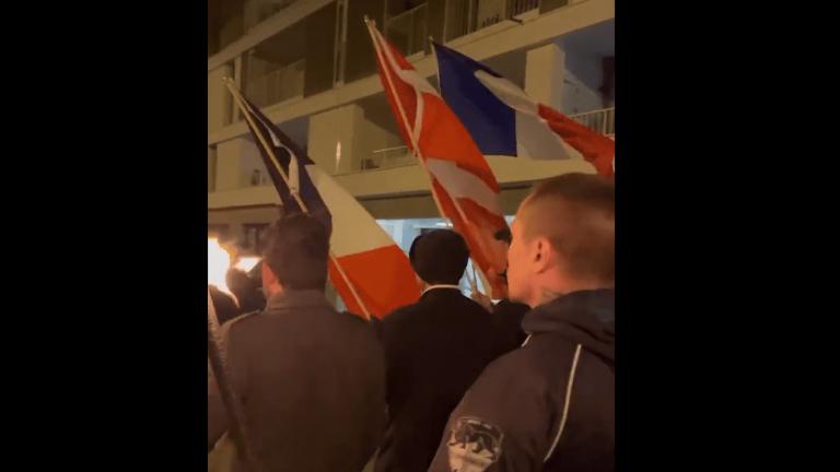 “A nauseating image”, “it sends shivers down my spine”, elected officials are indignant after a demonstration by nationalists in Annecy