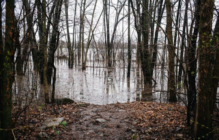 Abundant rain raises fears of flooding in several regions