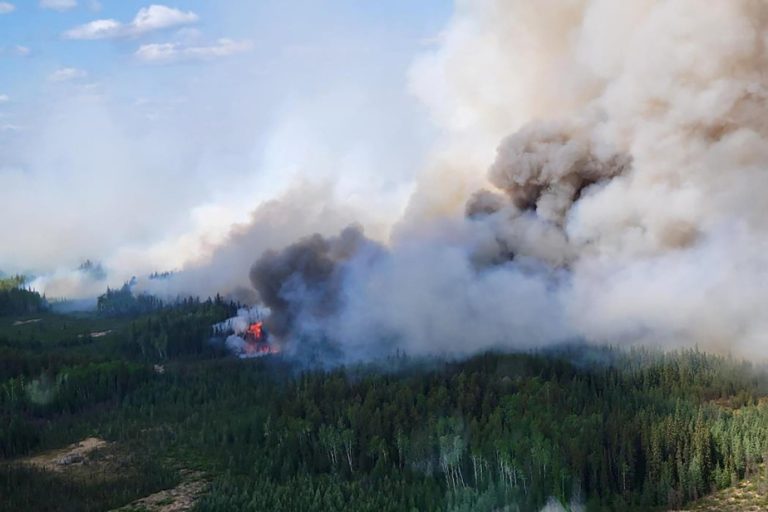 Forest fires |  Albertans urged to postpone weekend plans