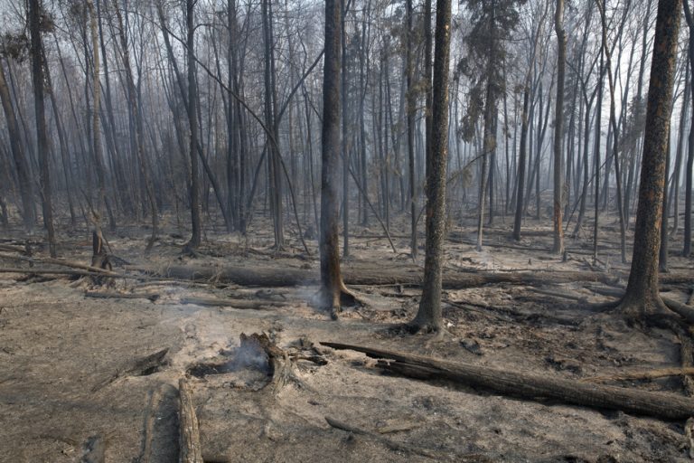 Alberta |  Wildfires force 13,000 people to evacuate their homes