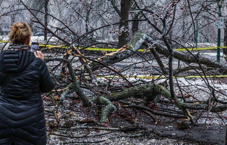 At least one more month to pick up branches in Montreal parks