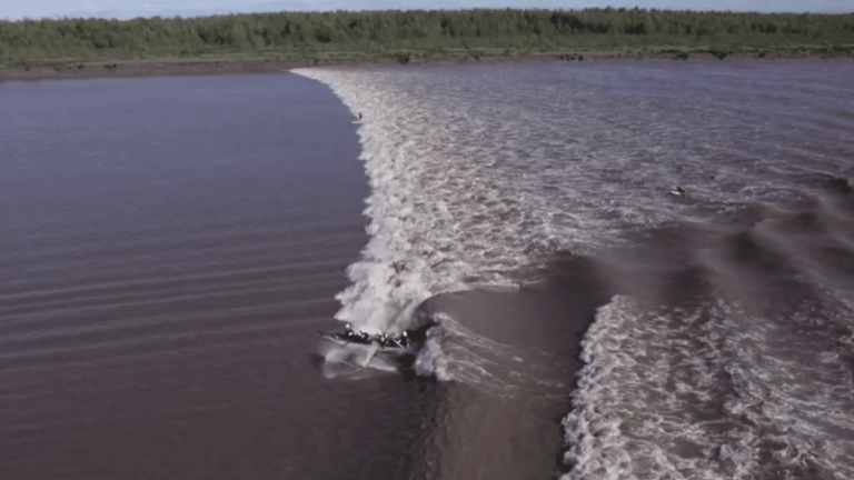 Brazil: the Pororoca, the giant wave of the Amazon admired by surfers