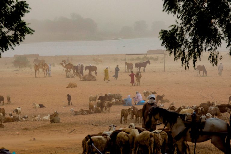 Chad |  Village attack kills 17