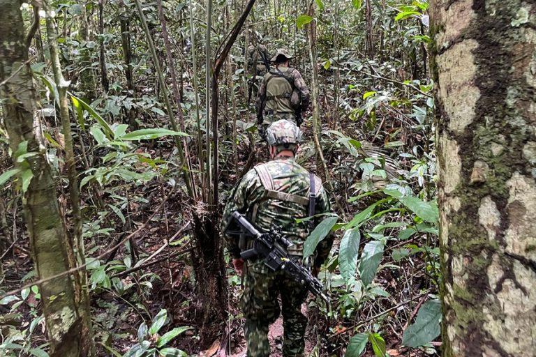 Colombia |  Children missing for a month in the jungle are said to be “alive”