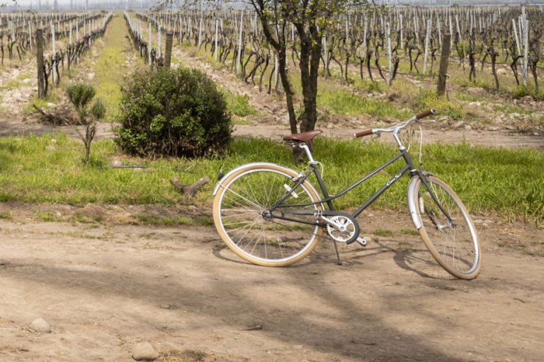 Cycling through the vineyards in Chile